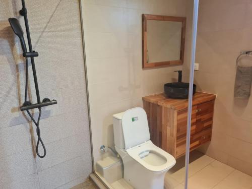 a bathroom with a toilet and a mirror and a shower at MoonLight in Pointe aux Piments