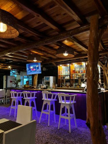 a bar with purple chairs and a purple counter at La Flor de Coco in Sámara