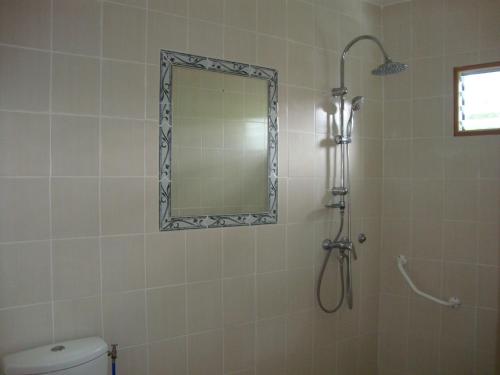 a bathroom with a shower with a mirror and a toilet at Residence Madelia in Port-Louis