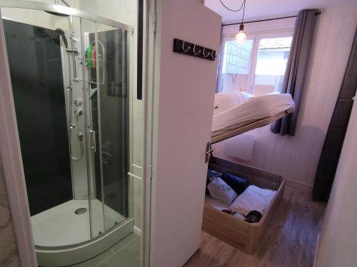 uma casa de banho com chuveiro e uma cama num quarto em appartement 2/3 personnes em La Bourboule