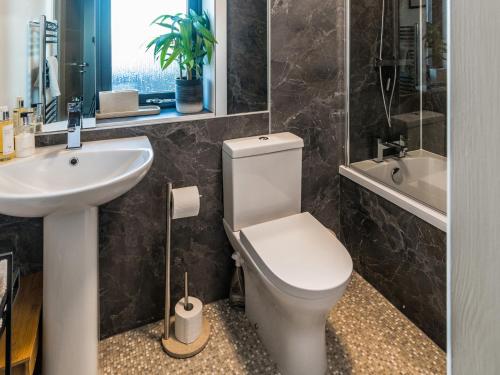 a bathroom with a white toilet and a sink at Beinn Mhor View in Lochboisdale