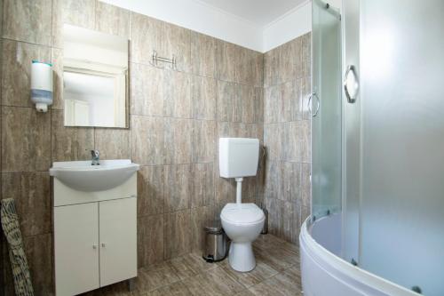 La salle de bains est pourvue de toilettes, d'un lavabo et d'une douche. dans l'établissement Pensiunea Miraj, à Sărăsău
