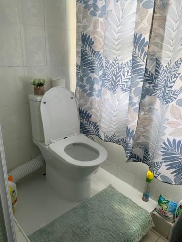a bathroom with a toilet and a shower curtain at Royal view Apartment in Port Louis