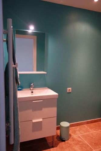 La salle de bains est pourvue d'un lavabo et d'un miroir. dans l'établissement Nice colline charmant studio indépendant au rdc d'une maison, à Nice