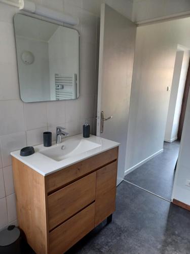 a bathroom with a sink and a mirror at Gîtes Le clos de Veyrignac in Veyrignac