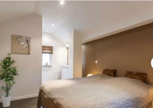 um quarto com uma cama grande e uma planta em la p'tite maison em Waimes