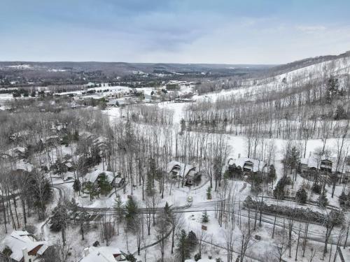Gallery image of 763 Disciples Village Condo in Boyne Falls