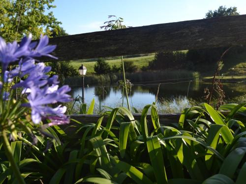 a garden with purple flowers in front of a lake at Casona Dos Lagos in Villanueva