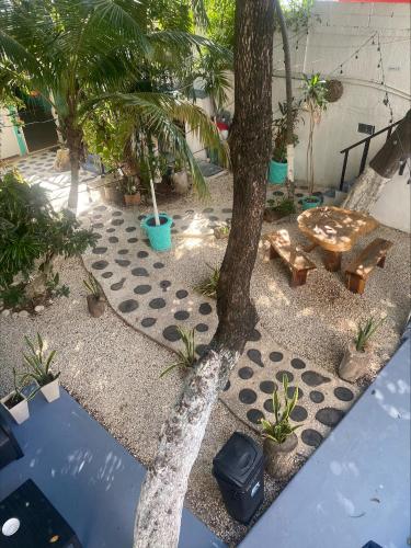 Zahrada ubytování Hotel Caracol Isla Mujeres