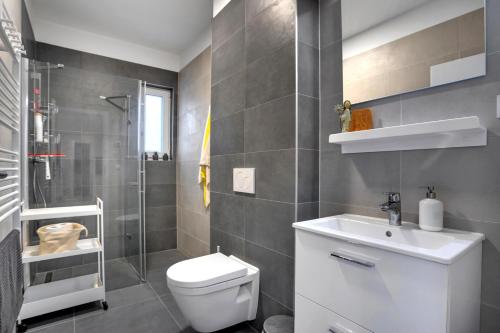 a bathroom with a toilet and a sink and a shower at SKI Berg Klínovec in Loučná pod Klínovcem