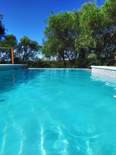 una piscina de agua azul con árboles en el fondo en El Observador del Tiempo en San Javier