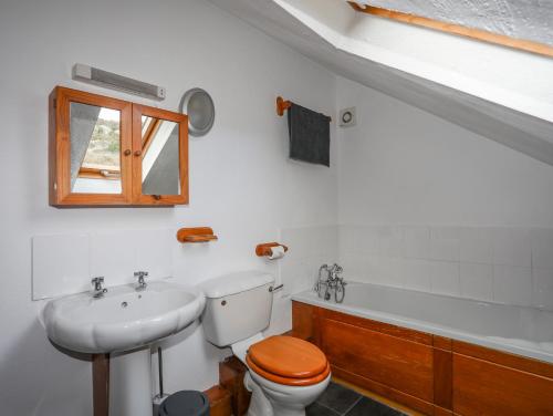 a bathroom with a toilet and a sink at Beech Tree Cottage in Caernarfon