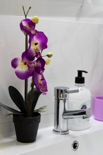 a purple flower in a pot on a bathroom sink at Almada Downtown 202 in Porto