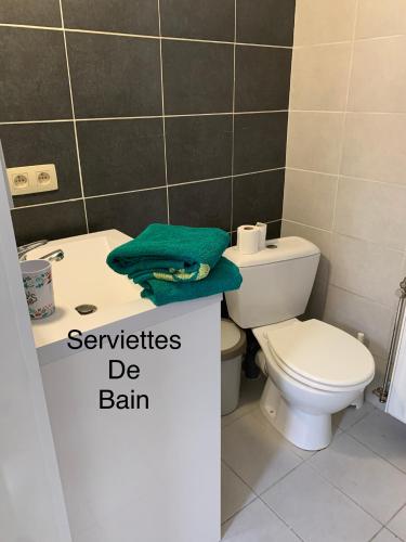 a bathroom with a toilet and a sink at Cocon in Jumet