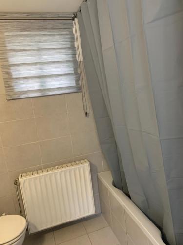 ein Bad mit einem weißen WC und einem Fenster in der Unterkunft Cocon in Jumet