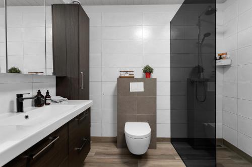 a bathroom with a toilet and a sink and a shower at The Lava Bowl in Grindavík