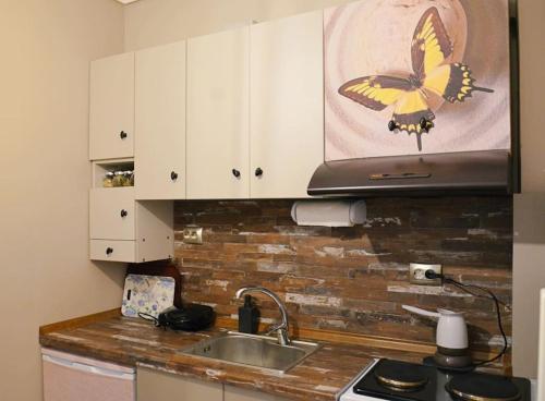 a kitchen with a butterfly painting above a sink at Cozy studio, 1min from Kamara in Thessaloniki