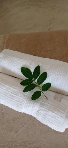 uma folha verde em cima de uma toalha de papel branco em Pousada Aroeira em Itaúnas
