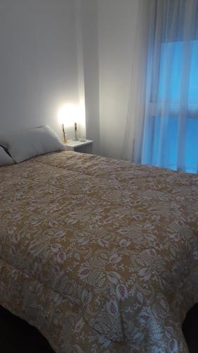 1 dormitorio con 1 cama grande con manta marrón en SANFER en San Fernando