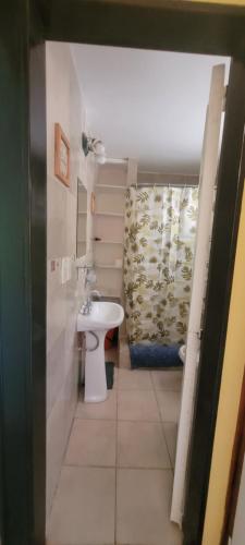 uma casa de banho com um lavatório e uma cortina de chuveiro em Pabloush em Ushuaia