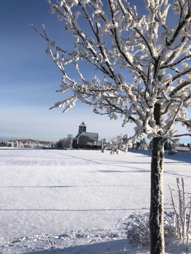 a tree in the snow with a church in the background at Ferienhaus Tooren in Kurort Altenberg
