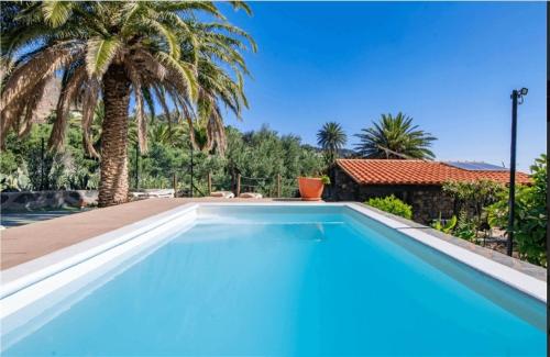 a swimming pool with a palm tree and a house at Las Palmeras Temisas in Temisas