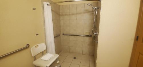 a bathroom with a shower with a toilet and a sink at Wingate by Wyndham Youngstown - Austintown in Youngstown