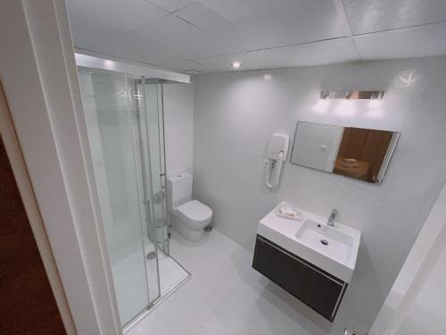 a bathroom with a toilet and a sink and a shower at Piso Atares Calle Alfonso in Zaragoza