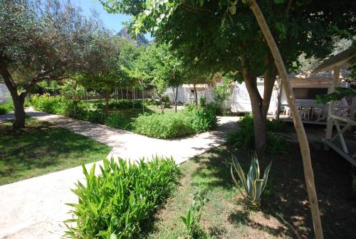 a garden with plants and trees and a sidewalk at S3 Seahorse Beach Club in Oludeniz