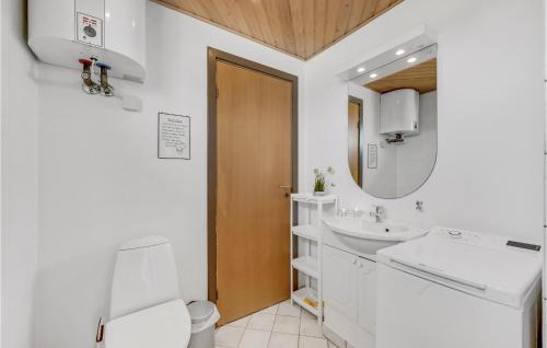 a bathroom with a sink and a toilet and a mirror at Nice Home In Harbore With Wifi in Harboør