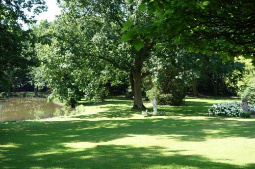 a park with trees and grass and a pond at Kasteel van Nieuwland in Aarschot