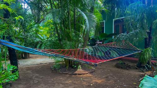 a hammock in a garden with palm trees at Green Grass Homestay in Sigiriya