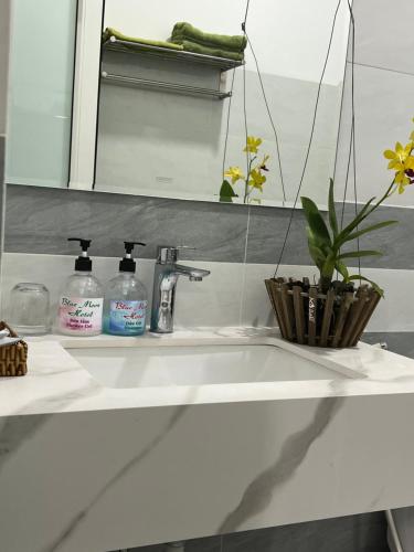 美奈的住宿－Blue Moon Hotel Mui Ne，浴室水槽,内有两瓶肥皂和植物