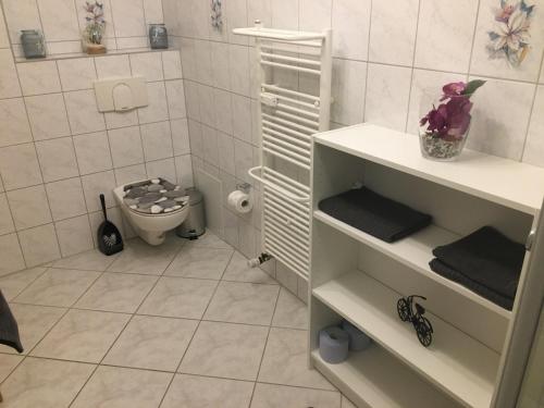 a small bathroom with a toilet and a sink at Ferienwohnung am Goethe Park für 2 bis 3 Personen in Jena