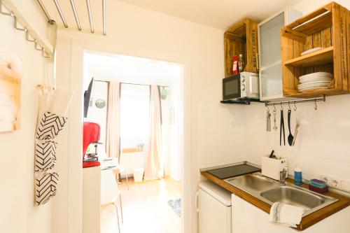 eine kleine Küche mit einem Waschbecken und einem Fenster in der Unterkunft Sweet Studio - Super Central in Mannheim