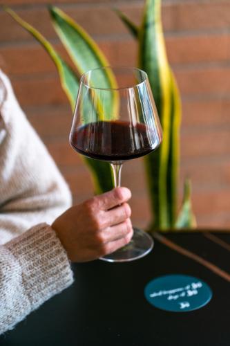 a person holding a glass of red wine at Hotel Jolly Roger in Pietra Ligure