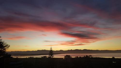 a sunset over a body of water with a tree at Tosswill Road - Bay Vista in Nelson