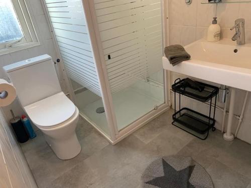 a bathroom with a toilet and a shower and a sink at Private Big Garden double Chalet with Outside HOTTUB and BARRELSAUNA, Woodside, Nature in Voorthuizen