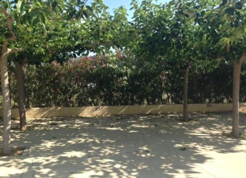 a group of trees in a yard with a fence at House with pool / Garden / BBQ BEACH in Tarragona