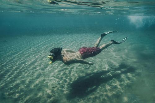 a dog swimming in the water in the ocean at F ZEEN Kefalonia in Lourdhata