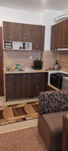 una cucina con armadi in legno e piano cottura. di Forest place a Pamporovo