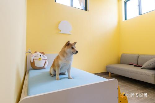 a dog sitting on a bed in a room at 快樂狗寵物民宿--證號2598 in Hualien City