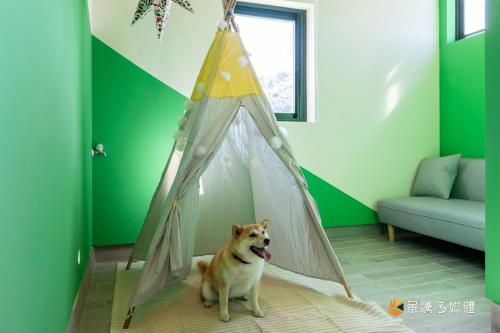 a dog sitting in a room with a tent at 快樂狗寵物民宿--證號2598 in Hualien City