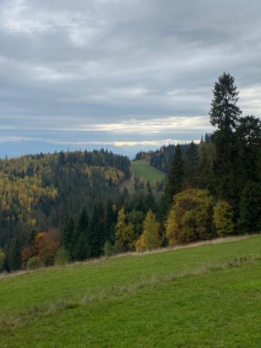 a green field with trees in the background at Apartament w górach Gorce in Nowy Targ