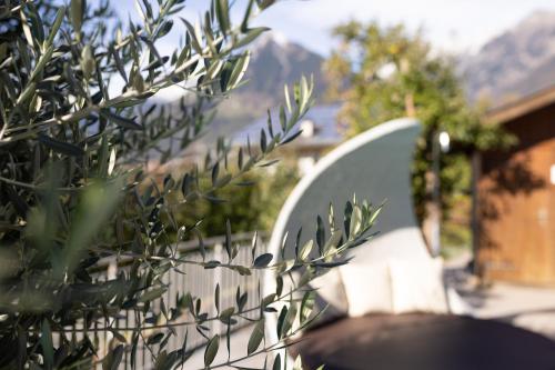 a close up of a fence with a plant at Residence Walchhof in Schenna