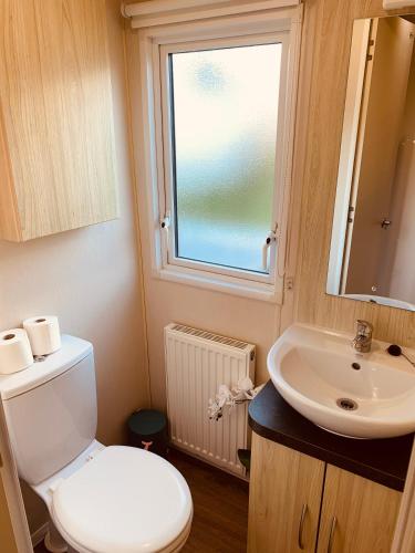 a bathroom with a toilet and a sink and a window at 69 Newquay bay resort Pet friendly in Newquay