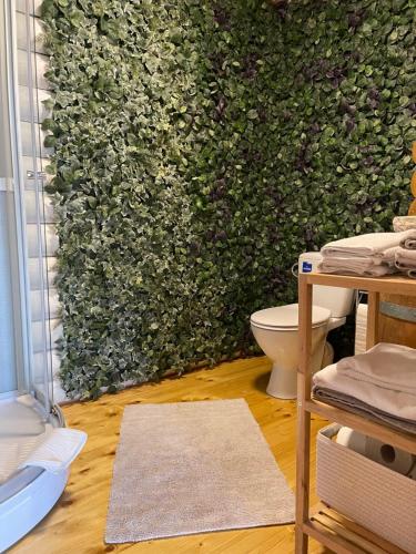 a bathroom with a green wall with a toilet at Wellness Hütte am Zwenkauer See bei Leipzig in Zwenkau