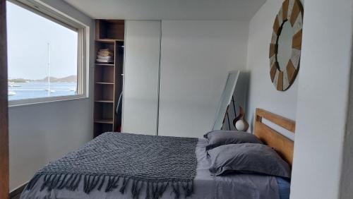 聖馬丁島的住宿－MARINA ROYALE VUE MER，一间卧室设有一张床和一个窗口