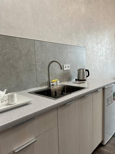 a kitchen with a sink and a counter top at Silveroks Apartment in Prilimanskoye