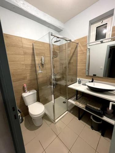 y baño con ducha, aseo y lavamanos. en T2 Centre ville La Licorne 2, en Pont-Audemer